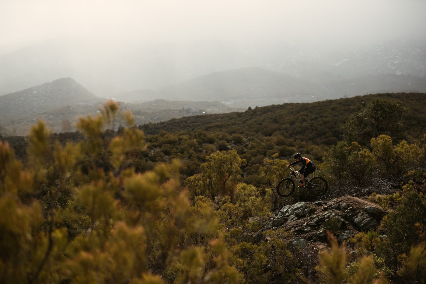 Canyon Neuron AL – Photo & Video project image 4